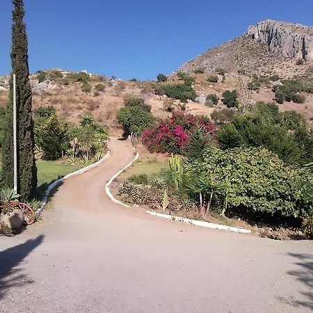 Finca Santa Matilde Малага Екстериор снимка