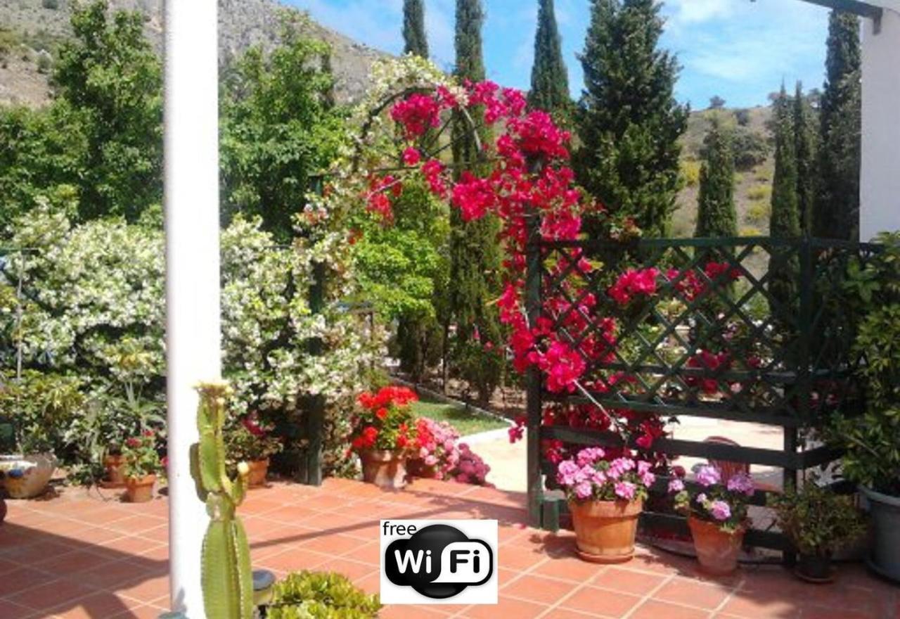 Finca Santa Matilde Малага Екстериор снимка