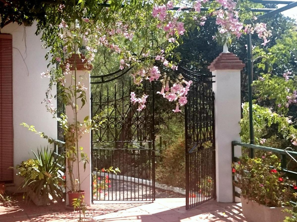 Finca Santa Matilde Малага Екстериор снимка