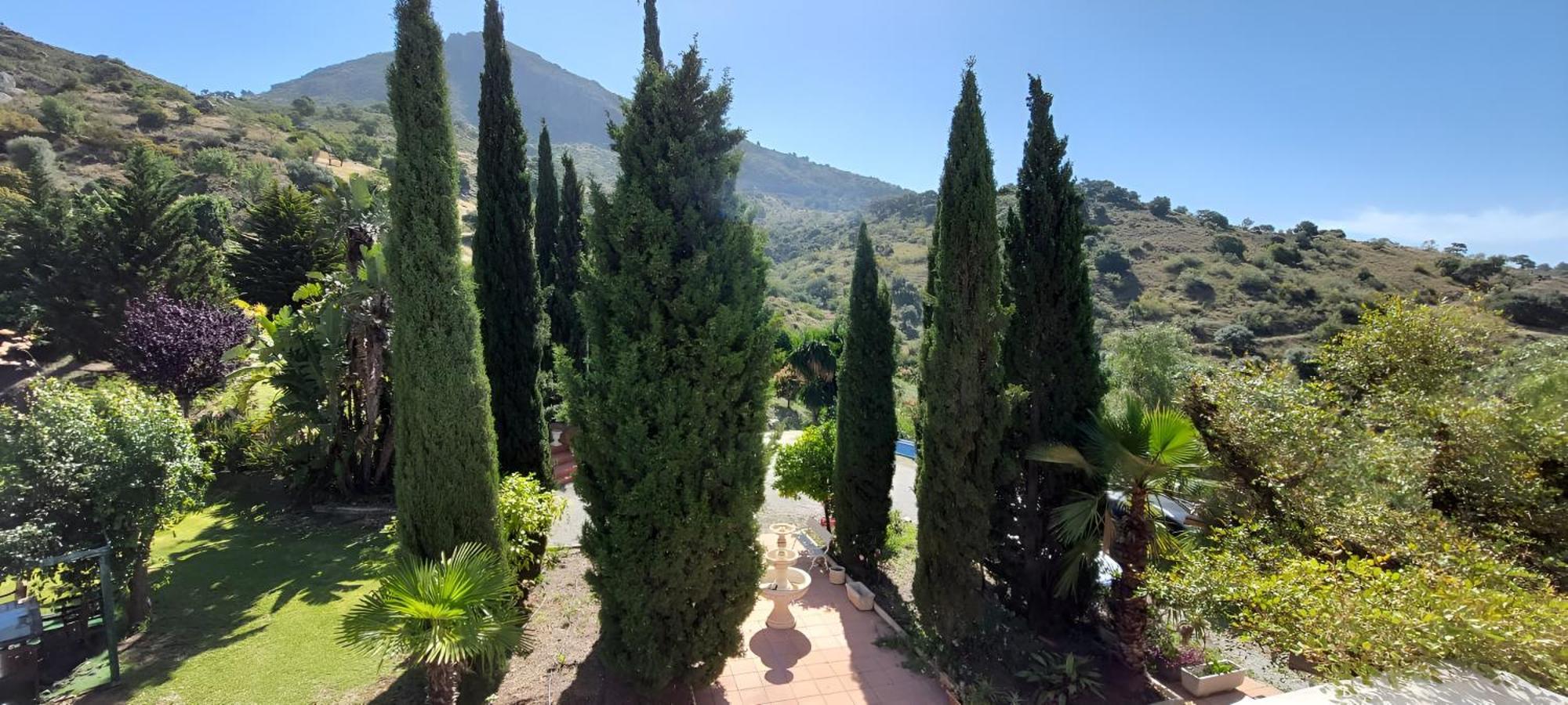 Finca Santa Matilde Малага Екстериор снимка