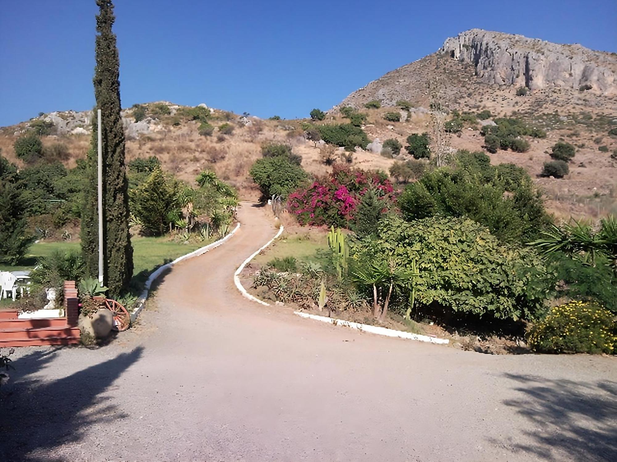 Finca Santa Matilde Малага Екстериор снимка
